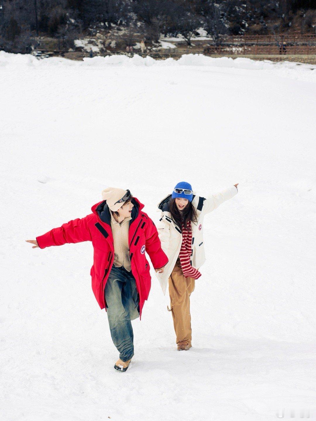 一场冬日浪漫旅行户外川西CanadaGoose加拿大鹅