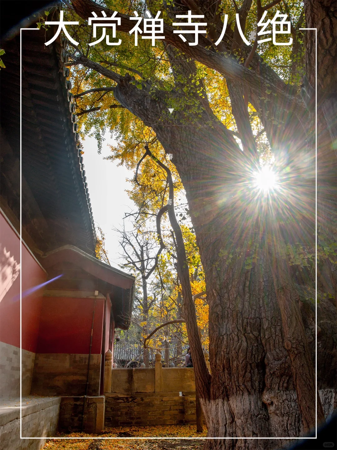 一定要知道的大觉寺八绝景，附攻略
