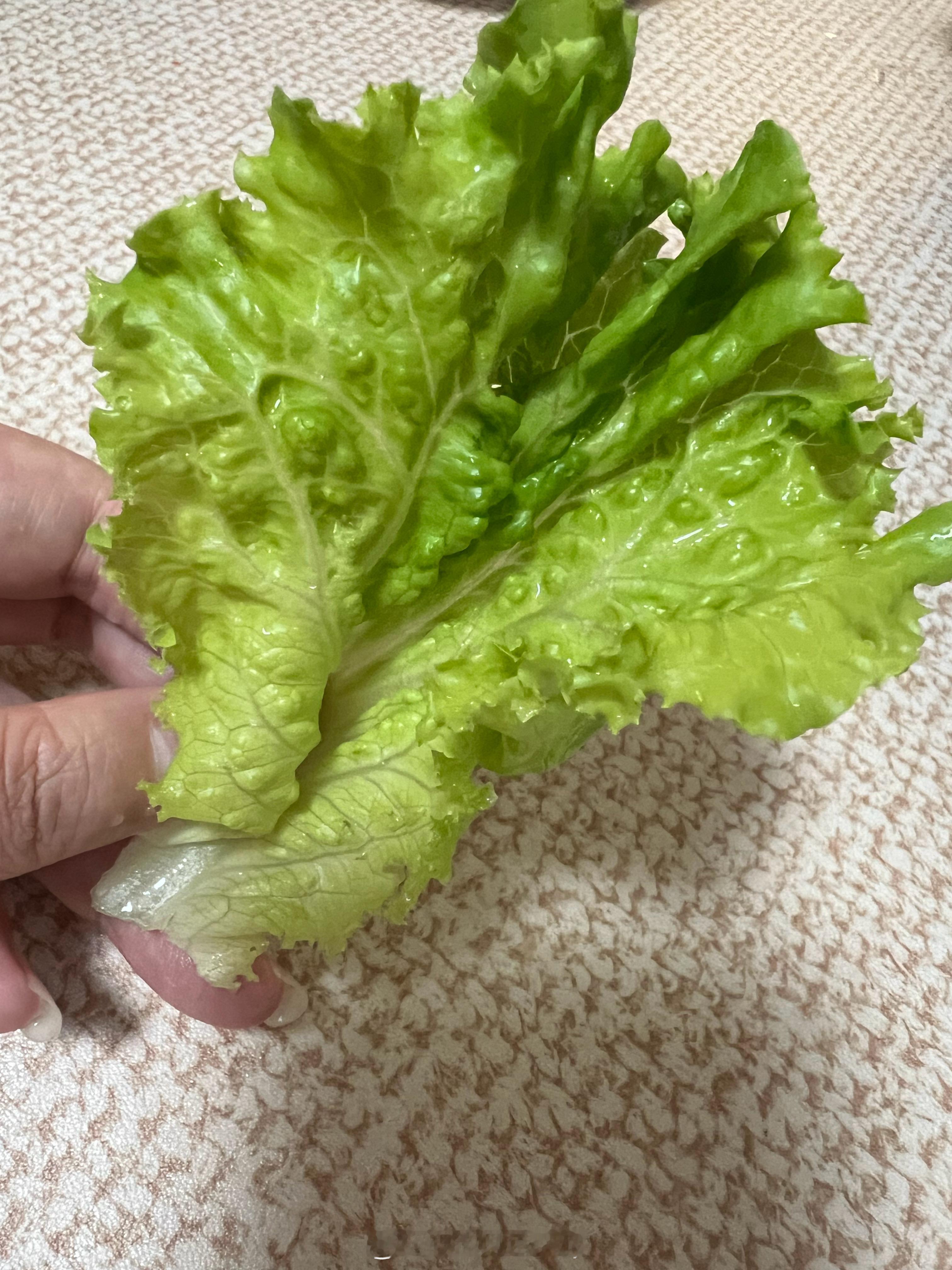 爱吃生菜的人天塌了该吃什么吃什么，天塌不了 