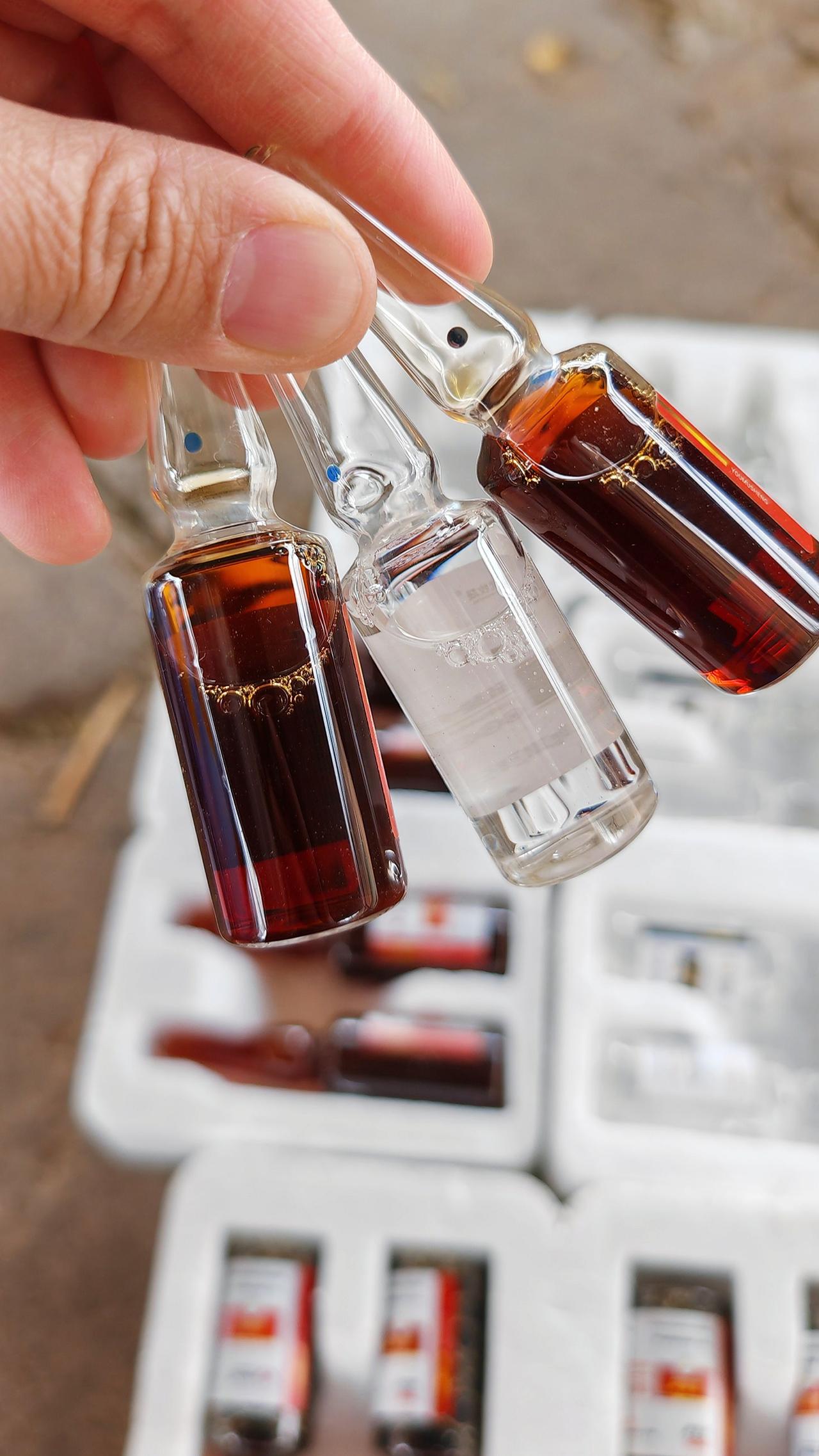 养羊人 农村养羊 养殖人加油 牛羊养殖 养殖场专用