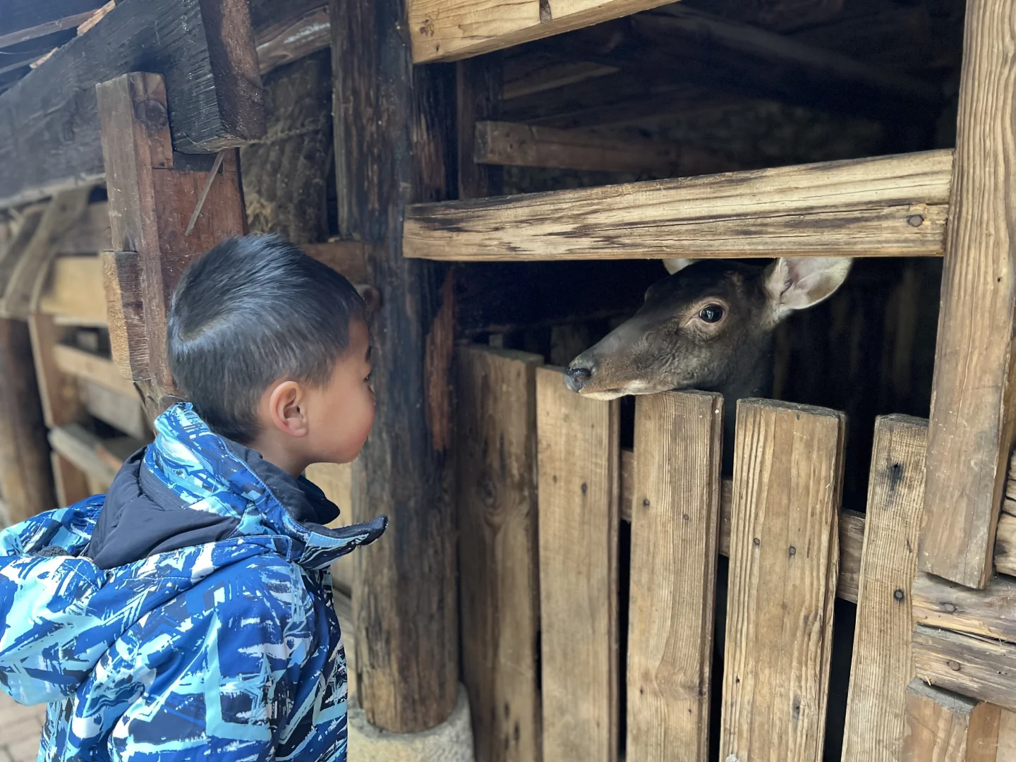仿若进入弥勒版桃花源记