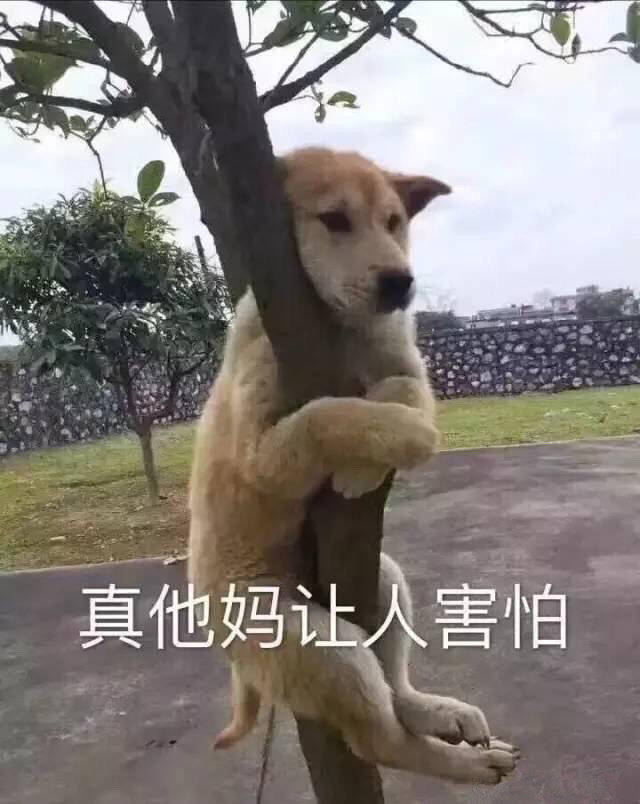 我们公司一个经理，工作业绩蛮好，多次被公司推荐到总部，朋友圈总是发老婆女儿的美好