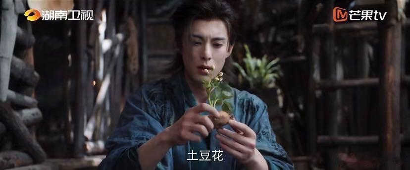 王鹤棣你怎么敢！ 