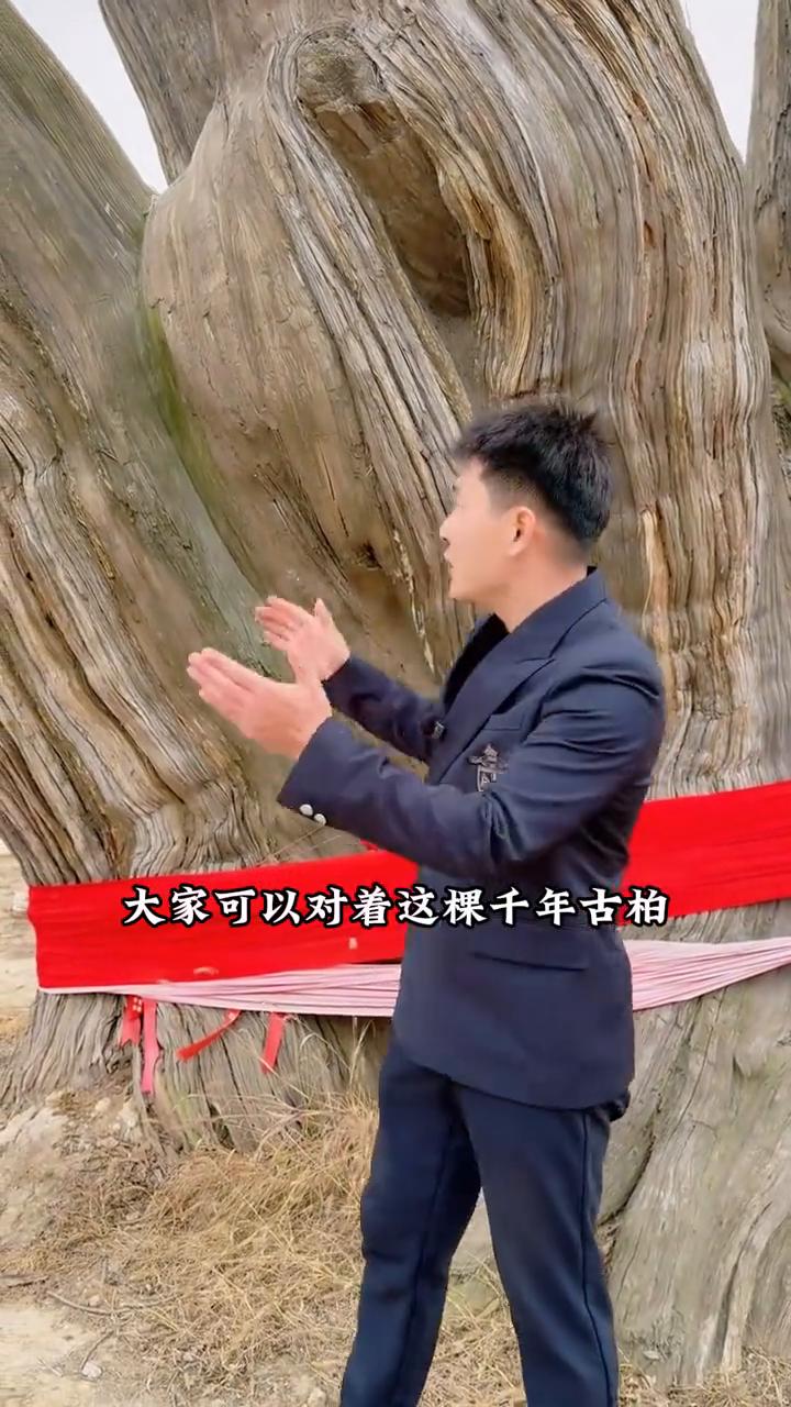 千年柏树之王。
你们见过这么大的柏树吗？它就是比秦始皇统一天下还要早，世界上最大