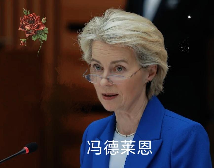 冯德莱恩，再见了！欧盟再次出手，必须换人
 
​​9月23日消息，欧洲议会的极右