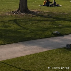 每日一善🌹阳光信用“黑暗无法驱散黑暗，唯有光明能做到；仇恨无法消解仇恨，唯有爱