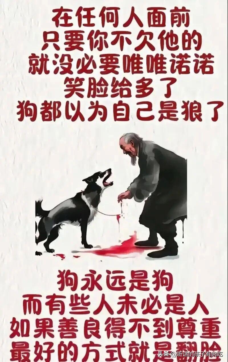 上辈子是丧尽天良，这辈子才会嫁你为妻！
上辈子是挖了他家祖坟还是做了什么十恶不赦