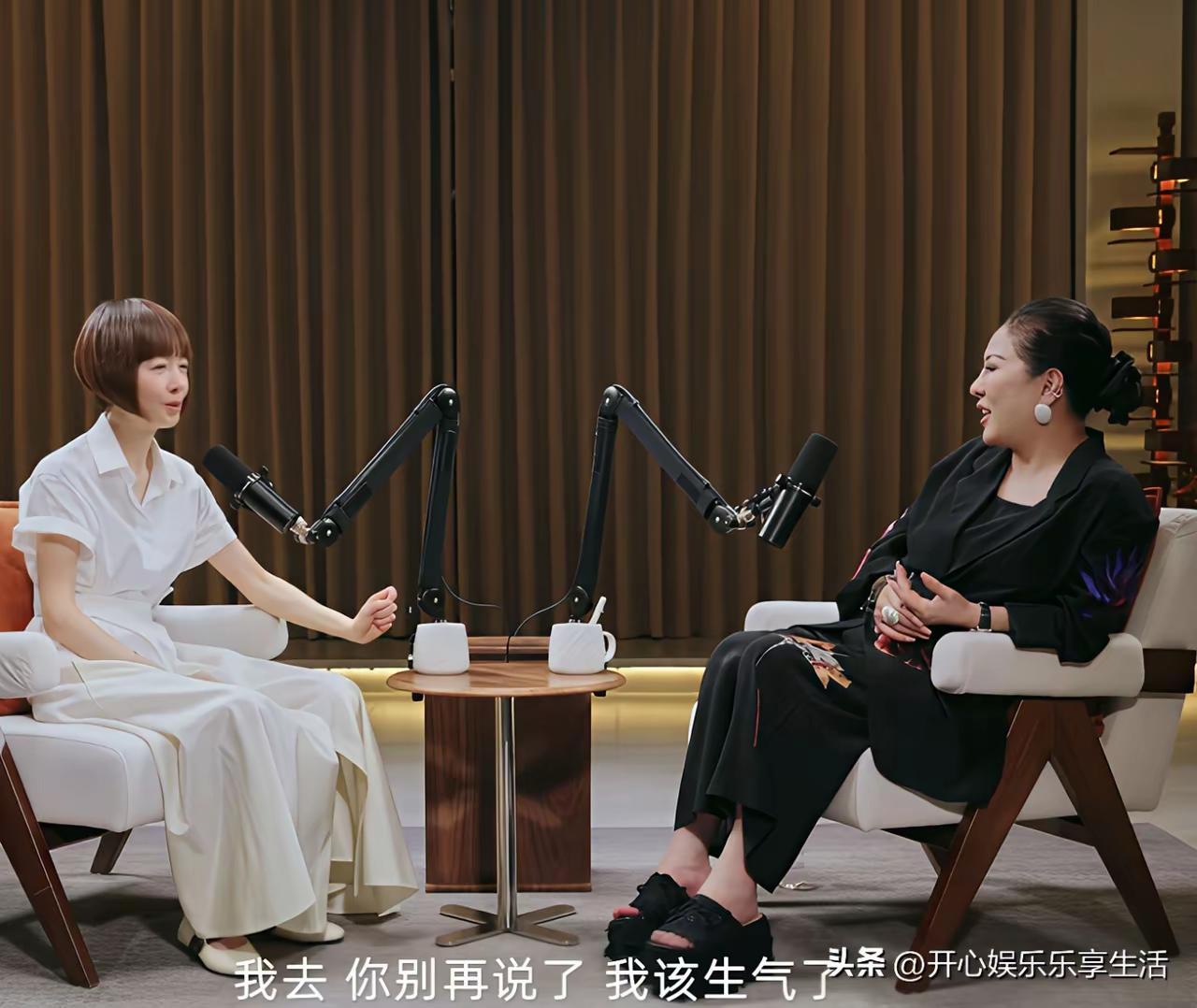 鲁豫访谈罕见当场动怒！向太为徐克辩解，一句话把鲁豫气到胃疼🔥
 
一向温和克制