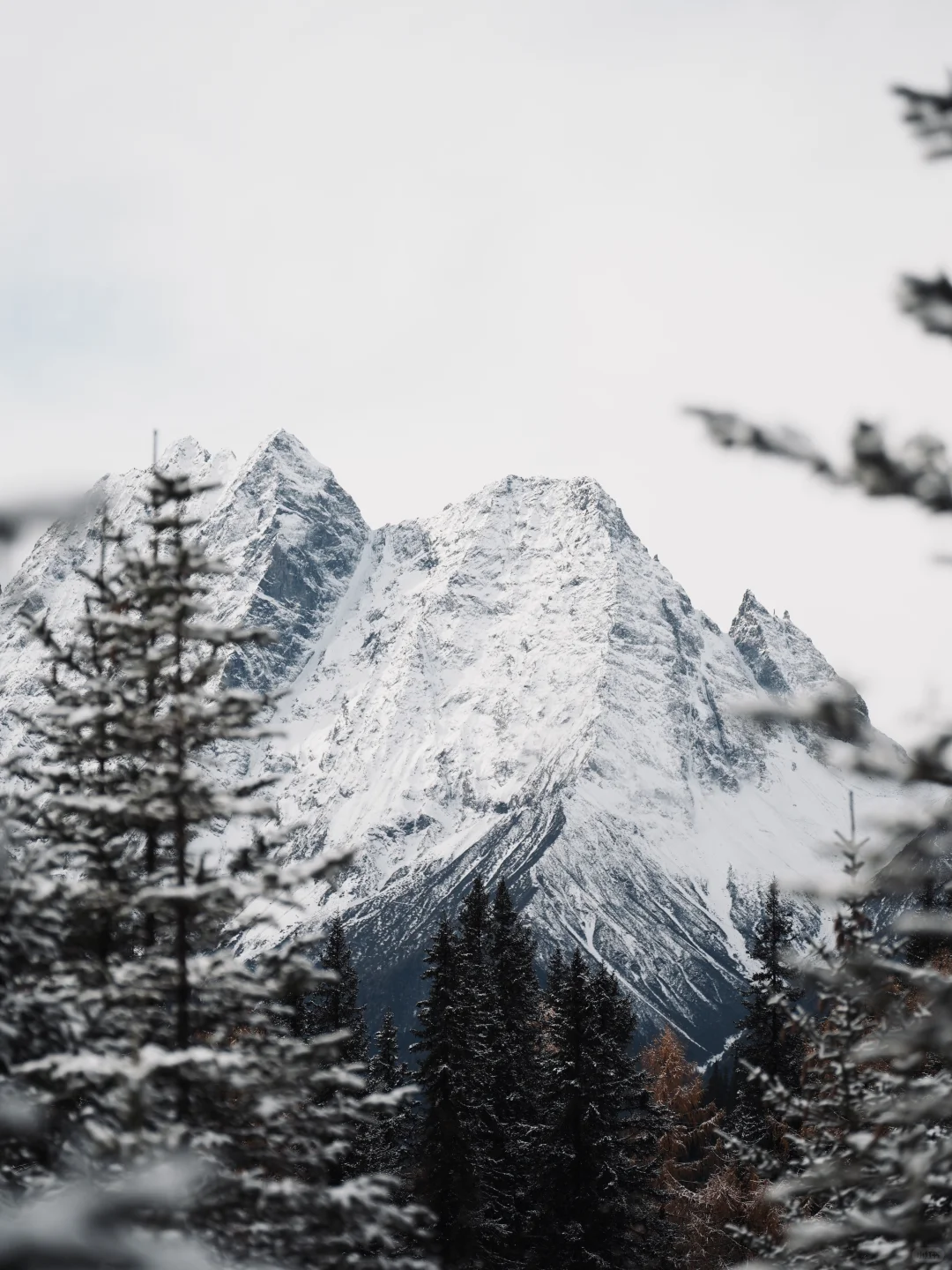 接下来的的四姑娘山 不知道要美到什么程度