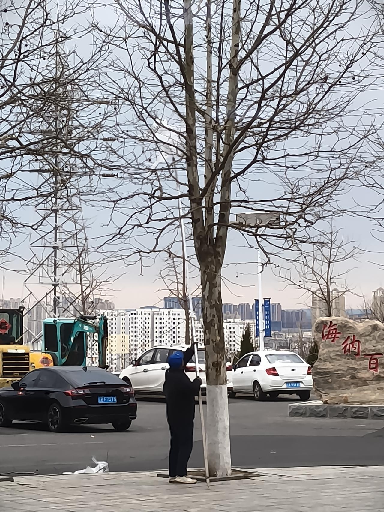 管天管地保洁员要有新武器，大连开发区一早晨上班高峰，乌云欲坠小雪飞扬，刮得行人站