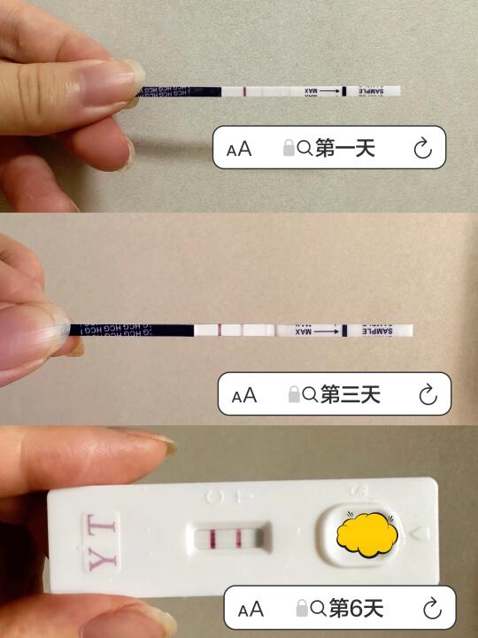 备孕成功｜原来我的小宝宝也在努力长大