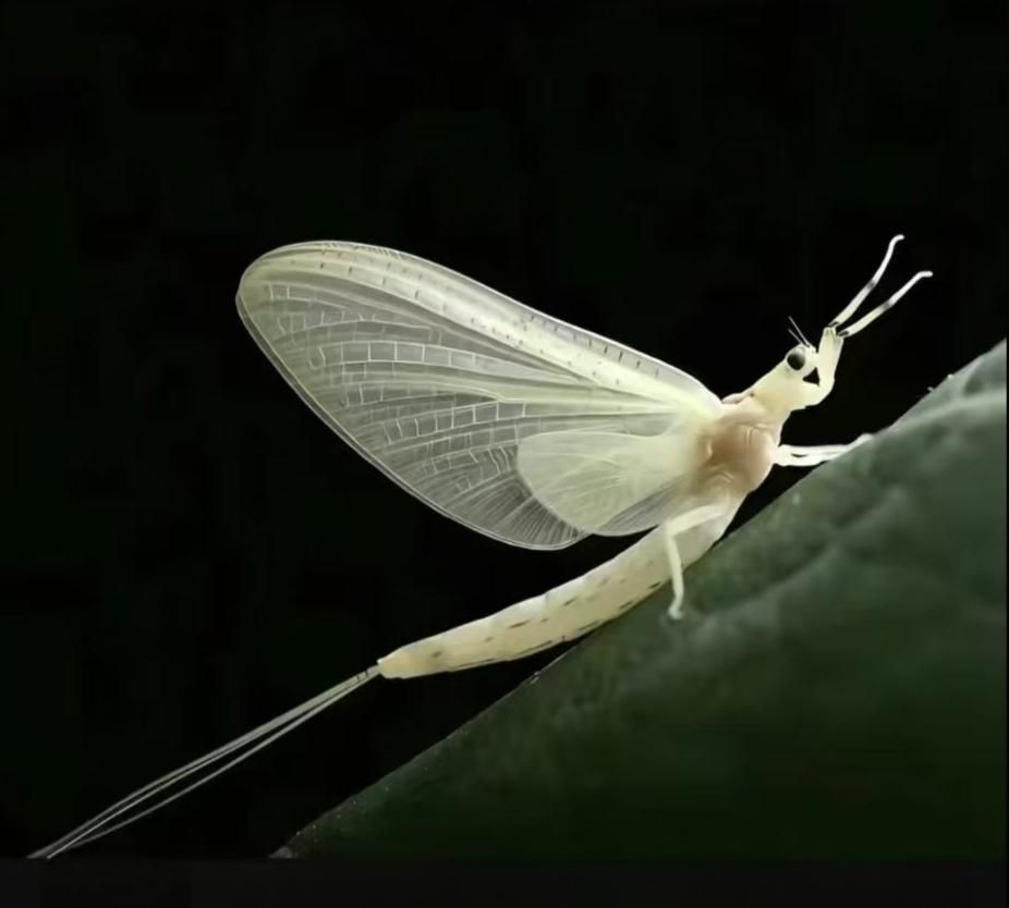 分享一下今日感悟仔细动动脑子想想，发现许多说法根本就是不可能的事，但是一直还在传