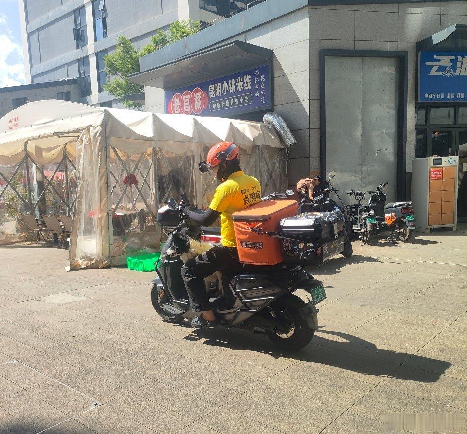 路边看到一个外卖小哥带着狗狗送外卖，很温暖的一个组合。 ​​​