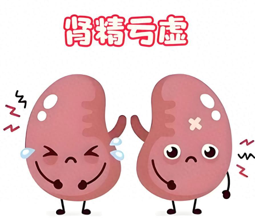 肾阴虚、肾阳虚、肾精亏？分享 3 个中成药，帮你重拾青春活力！
大家好，我是陈大