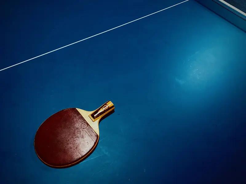 老一辈国乒人艰苦奋斗、永不言弃的精神，化作了无形的力量。他们在赛场上摸爬滚打，即