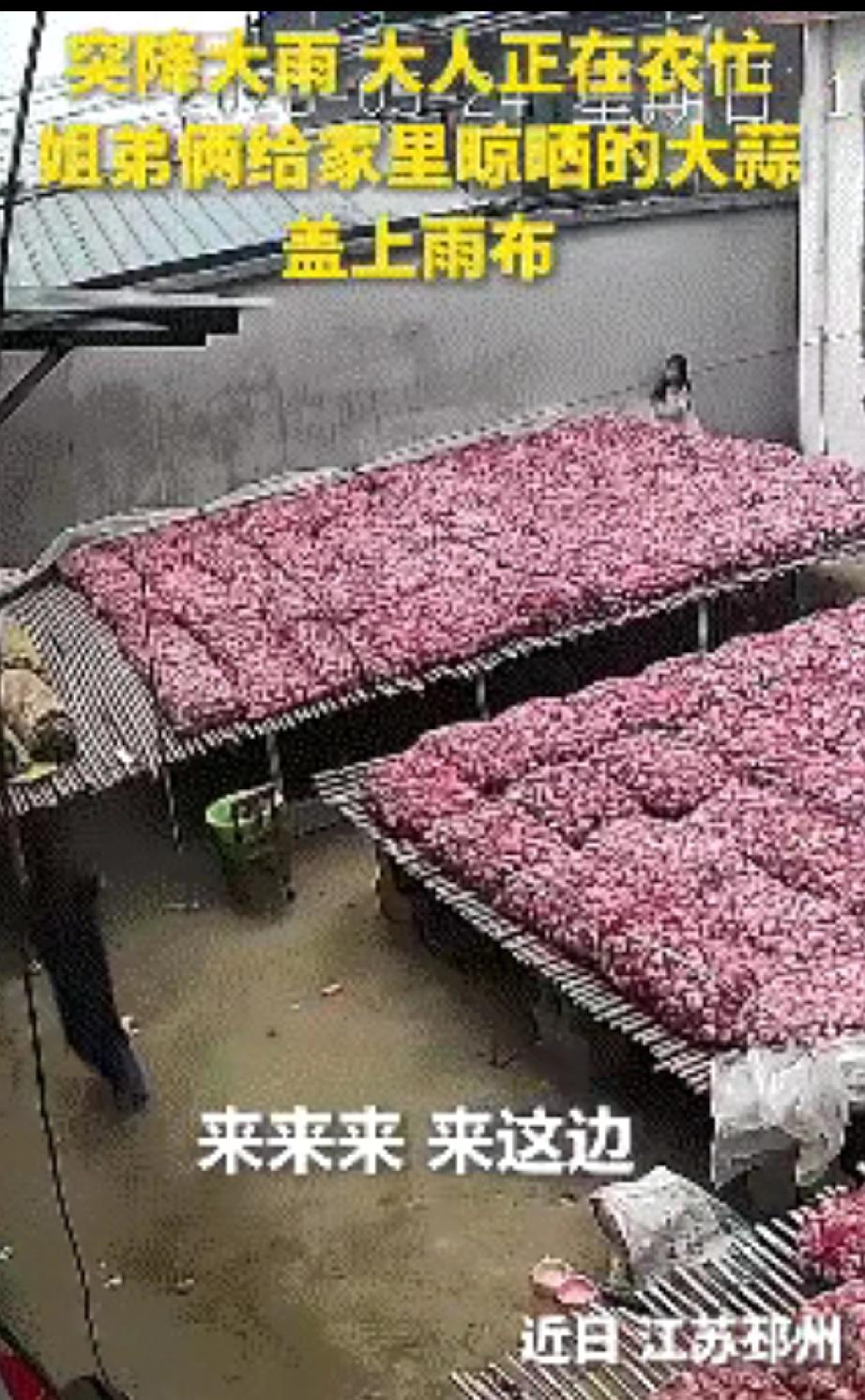 上人民日报了。
近日，江苏两个小孩立大功了，他们的举动，直接让全网都竖起了大拇指
