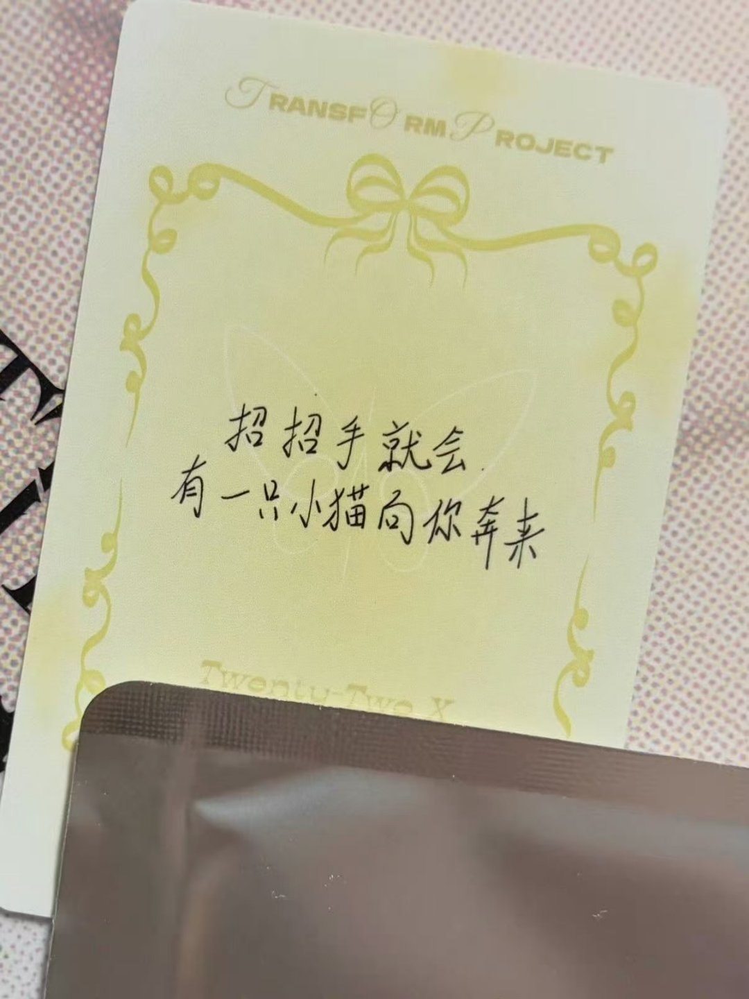 “ 招招手就会有一只小猫向你奔来 ”啊啊啊啊啊他知道自己是小猫啦朱志鑫一路向海的