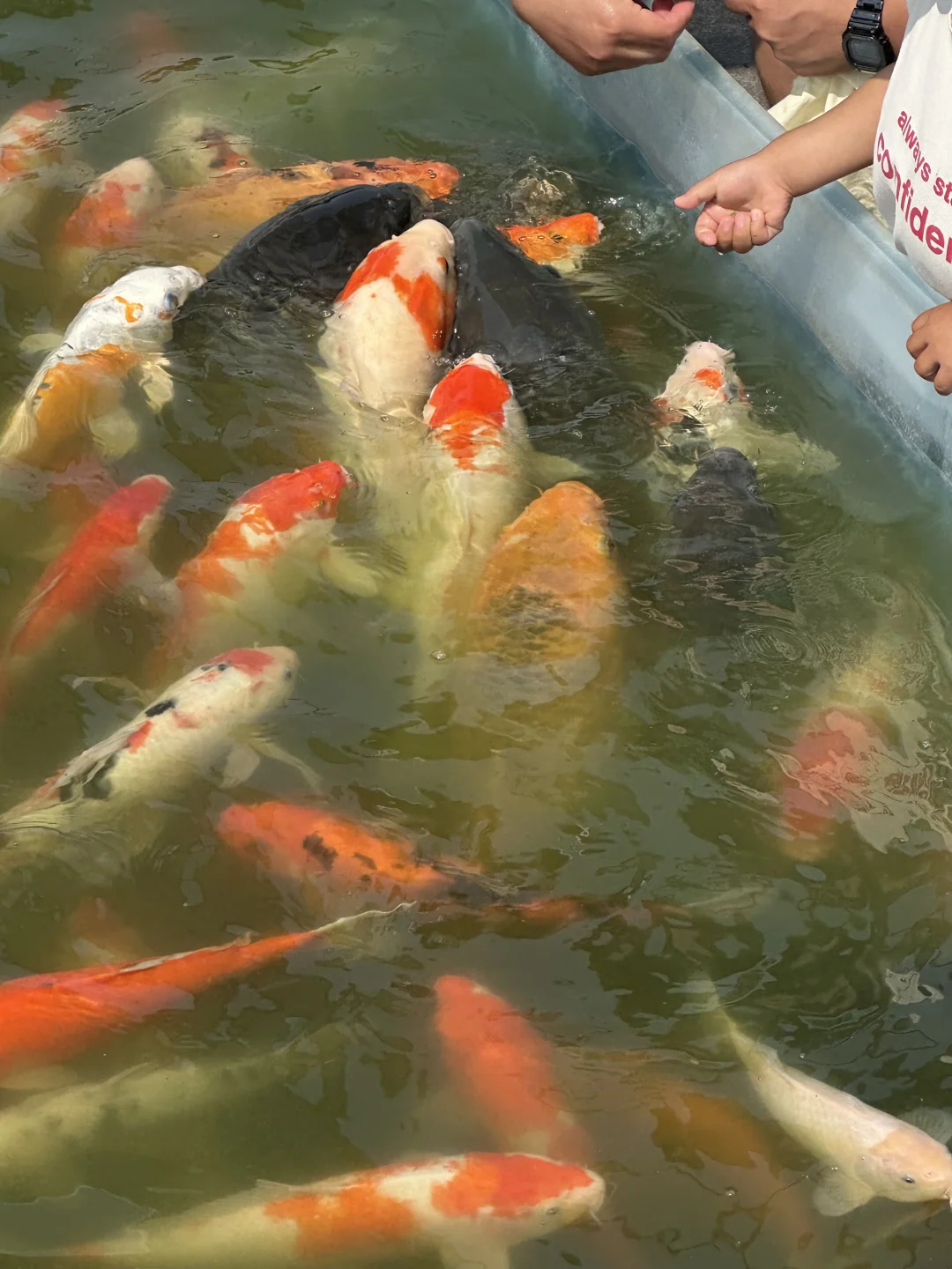 跟风最成功的一次