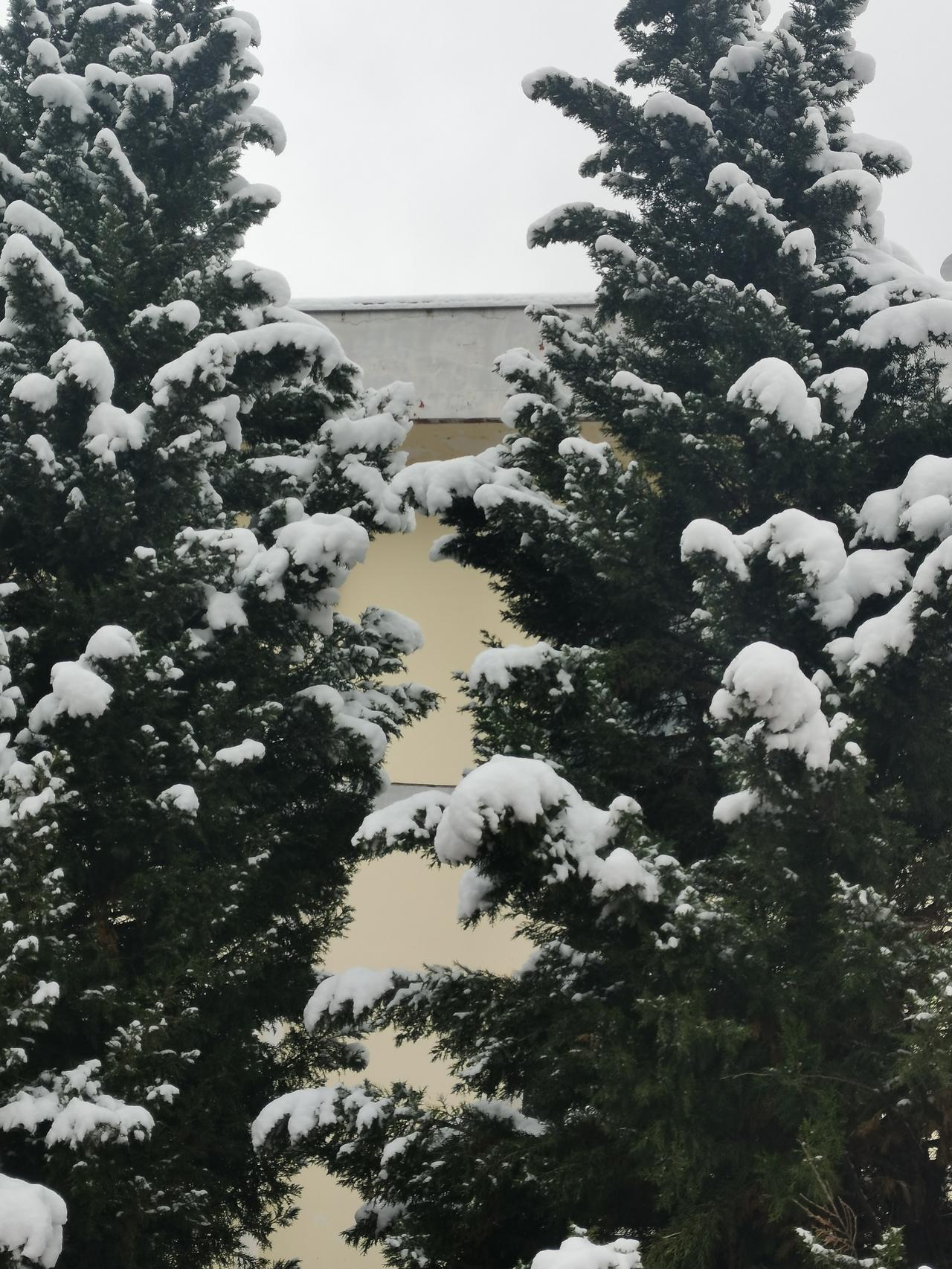 总想着要去远方看风景，直到今天才发现，最美的风景不必刻意寻觅，就在我们身边。
 