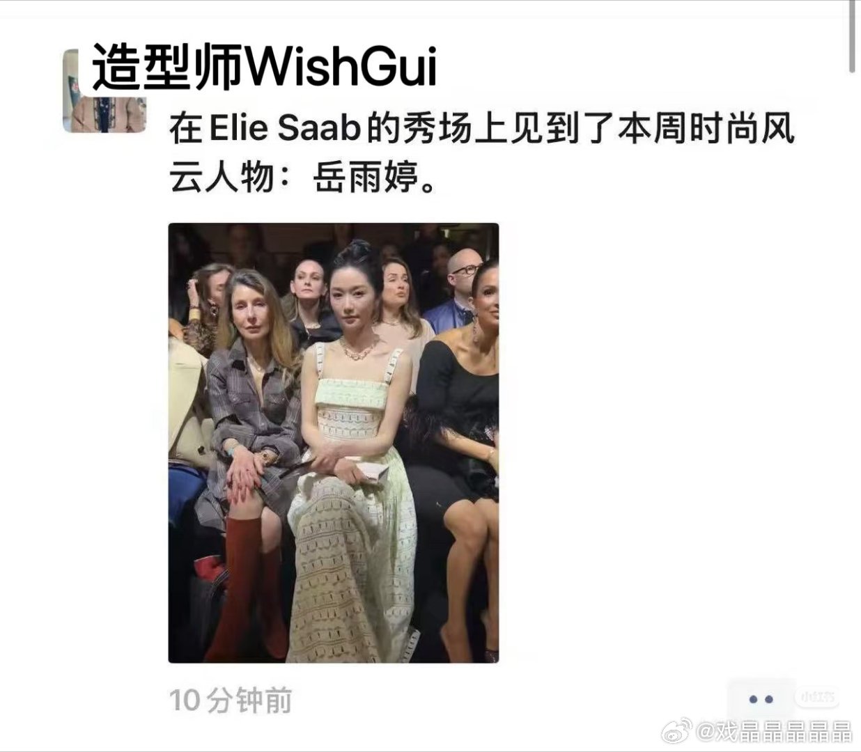 巴黎时装周 Elie Saab 秋冬秀场，岳雨婷收获官方看秀图啦， G社生图状态