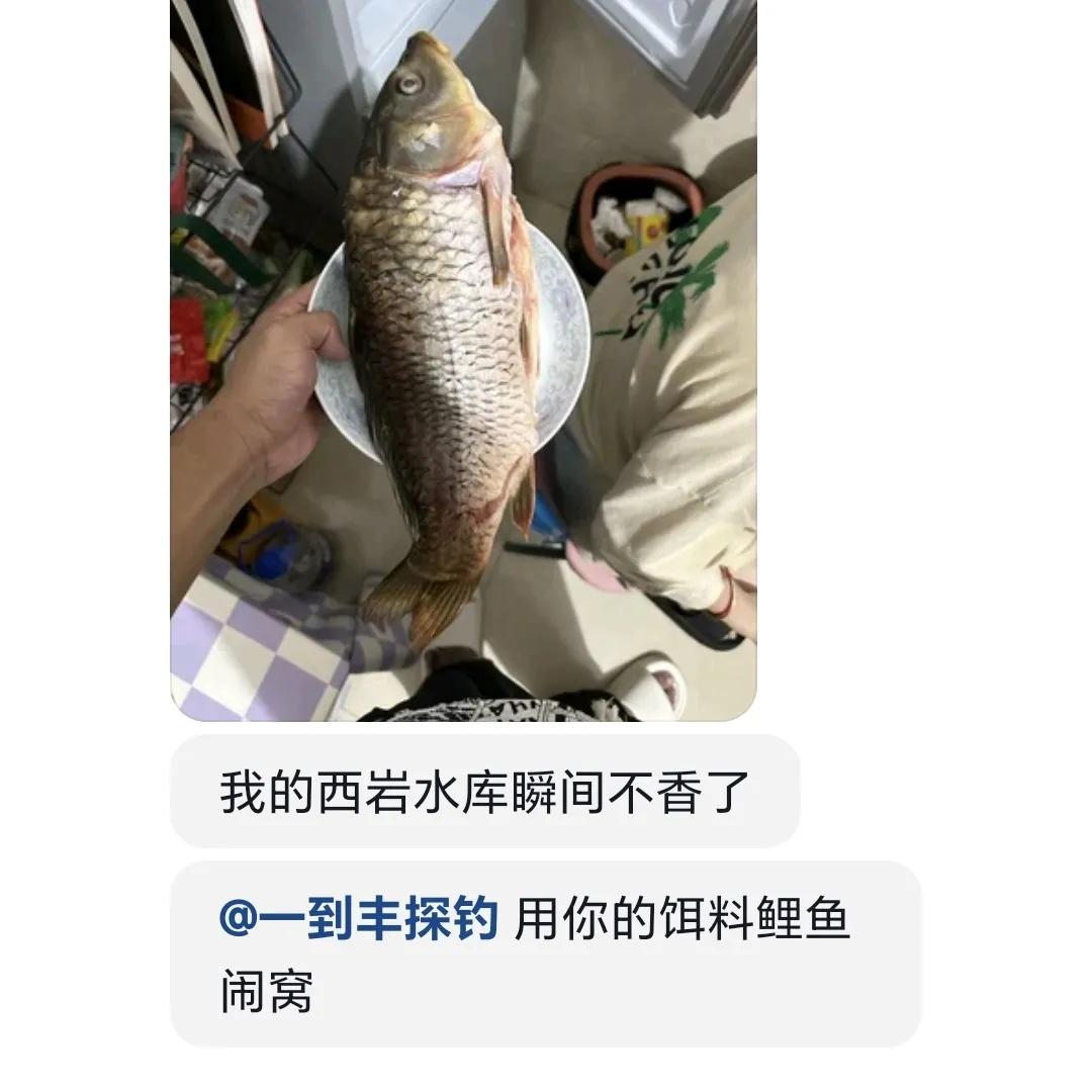 钓鲤鱼抬竿换饵频率如何把握?钓鲤鱼时抬竿换饵频率的把握很关键，以下这些因素可以帮