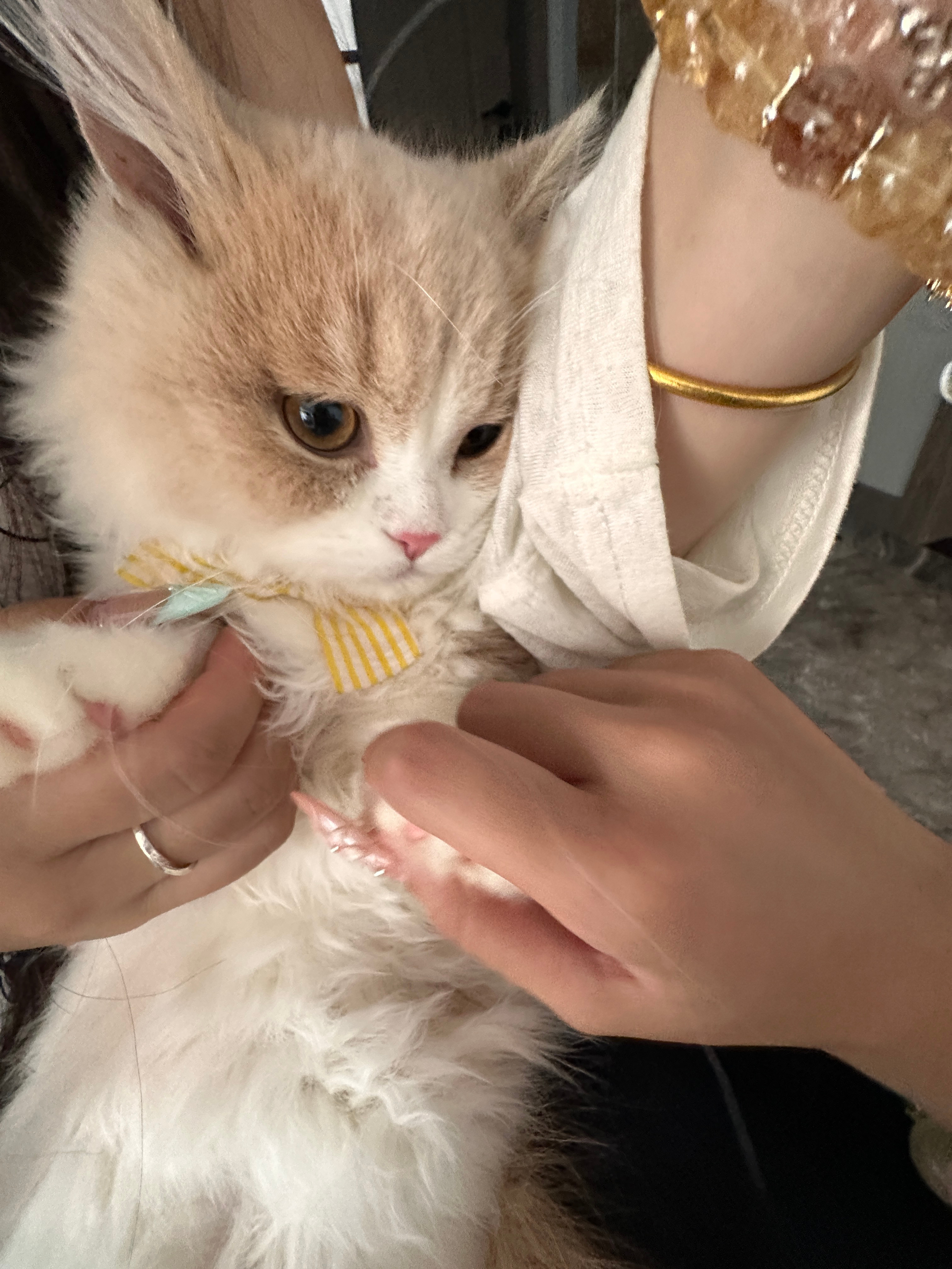 求求合集。太可爱了[泪] ​​​