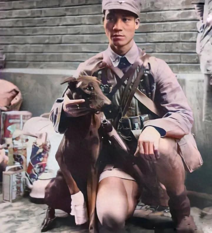 抗战时期，日军拥有一支训练有素、令人生畏的“狼狗部队”，而令日军没有想到的是，董