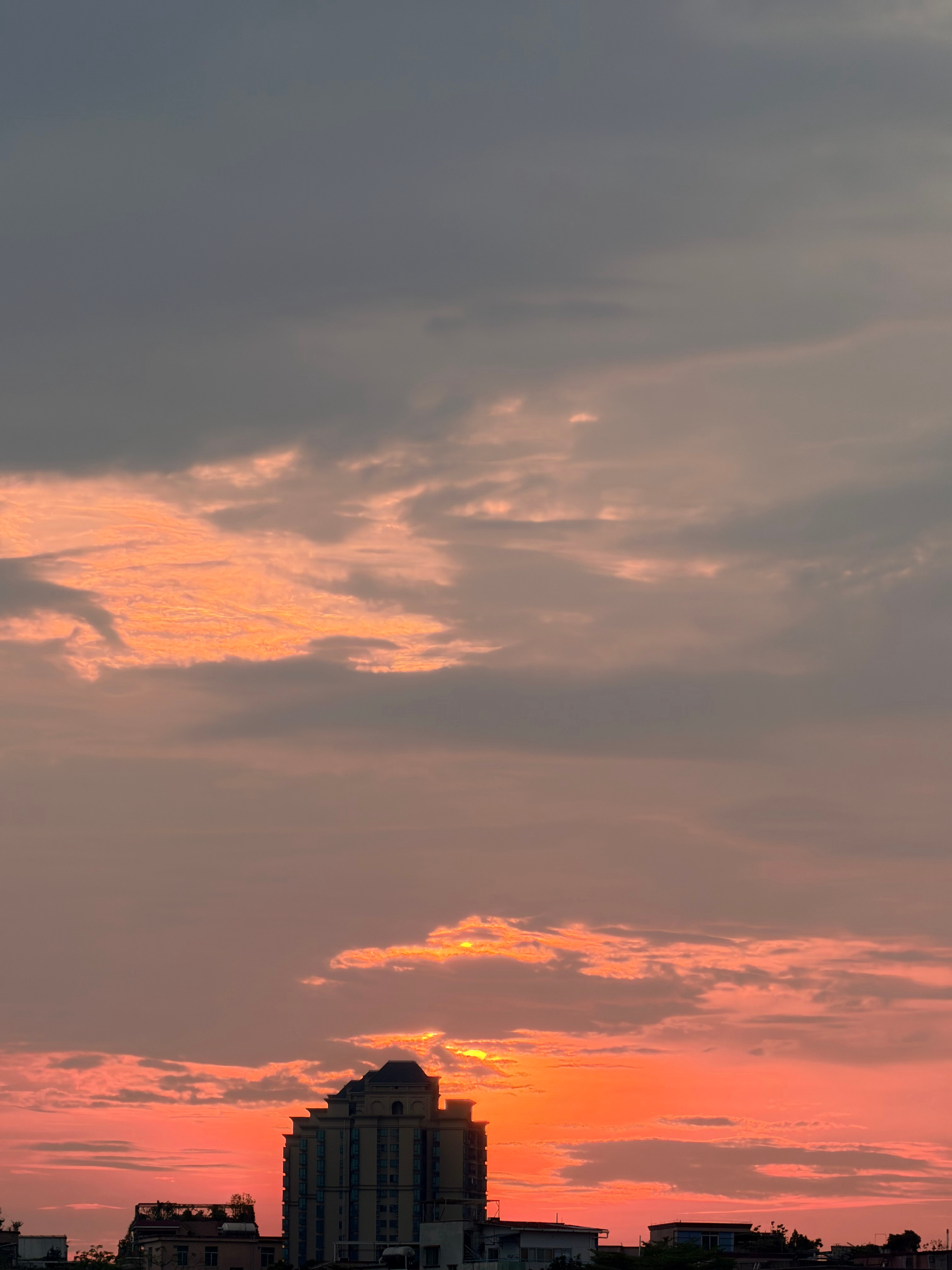 🌅 