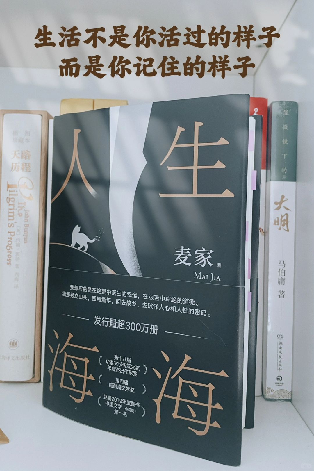 后悔没早点看这本罗翔老师读过都落泪的书