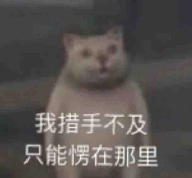 一些实用的表情包 ​​​
