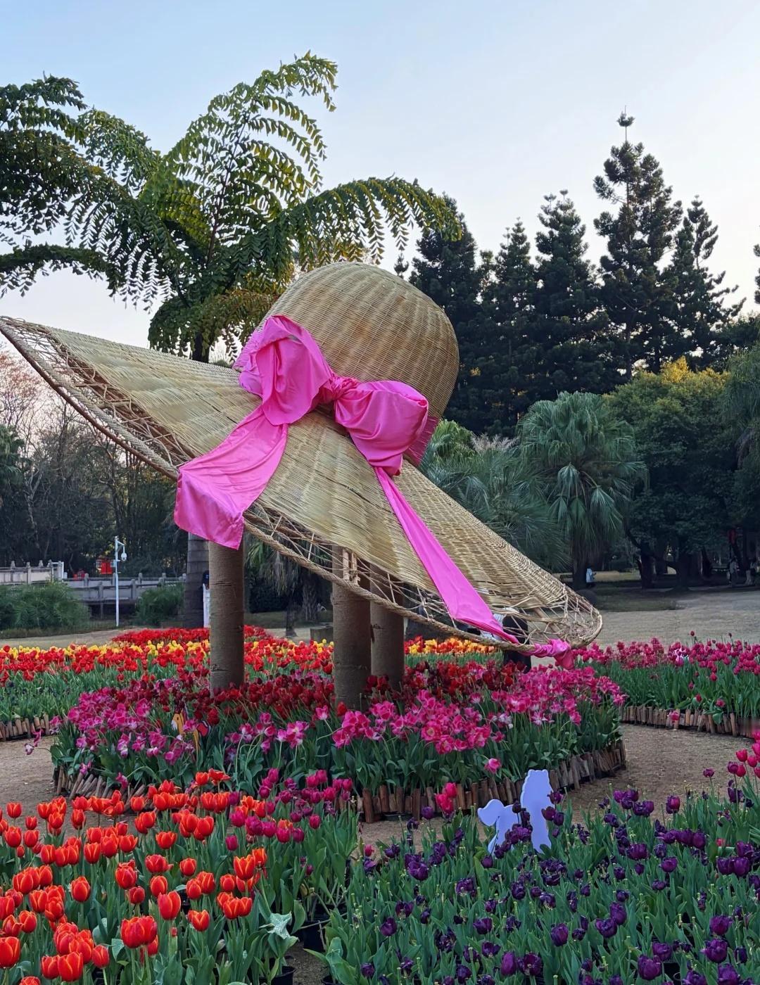 福州森林公园｜春日吸氧天花板🌿
不用出城，就能拥抱整片绿意
千年榕树王、樱花、