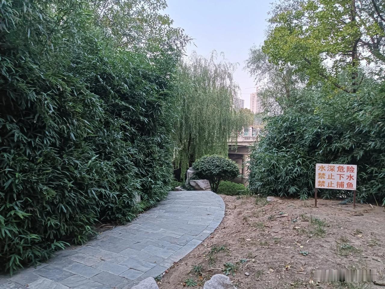 #秋日生活记录#🍁#秋日生活记录#，留住秋日的美好回忆！📝
 
（手捧一杯热