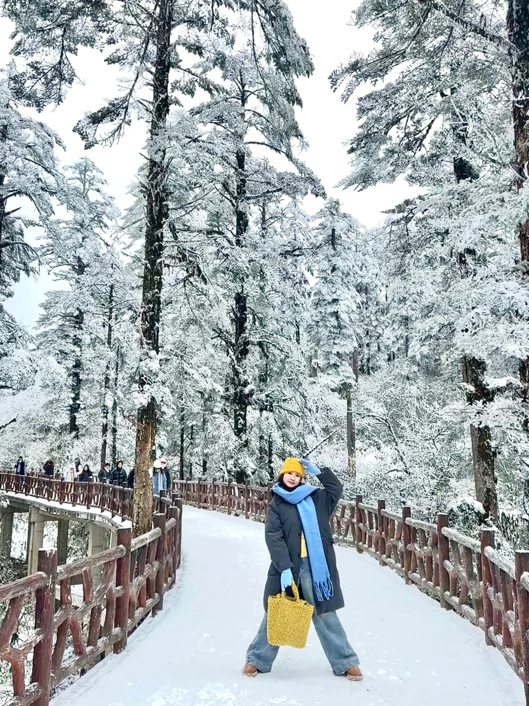 1.15实拍！！阴天的瓦屋山 也还是不错……