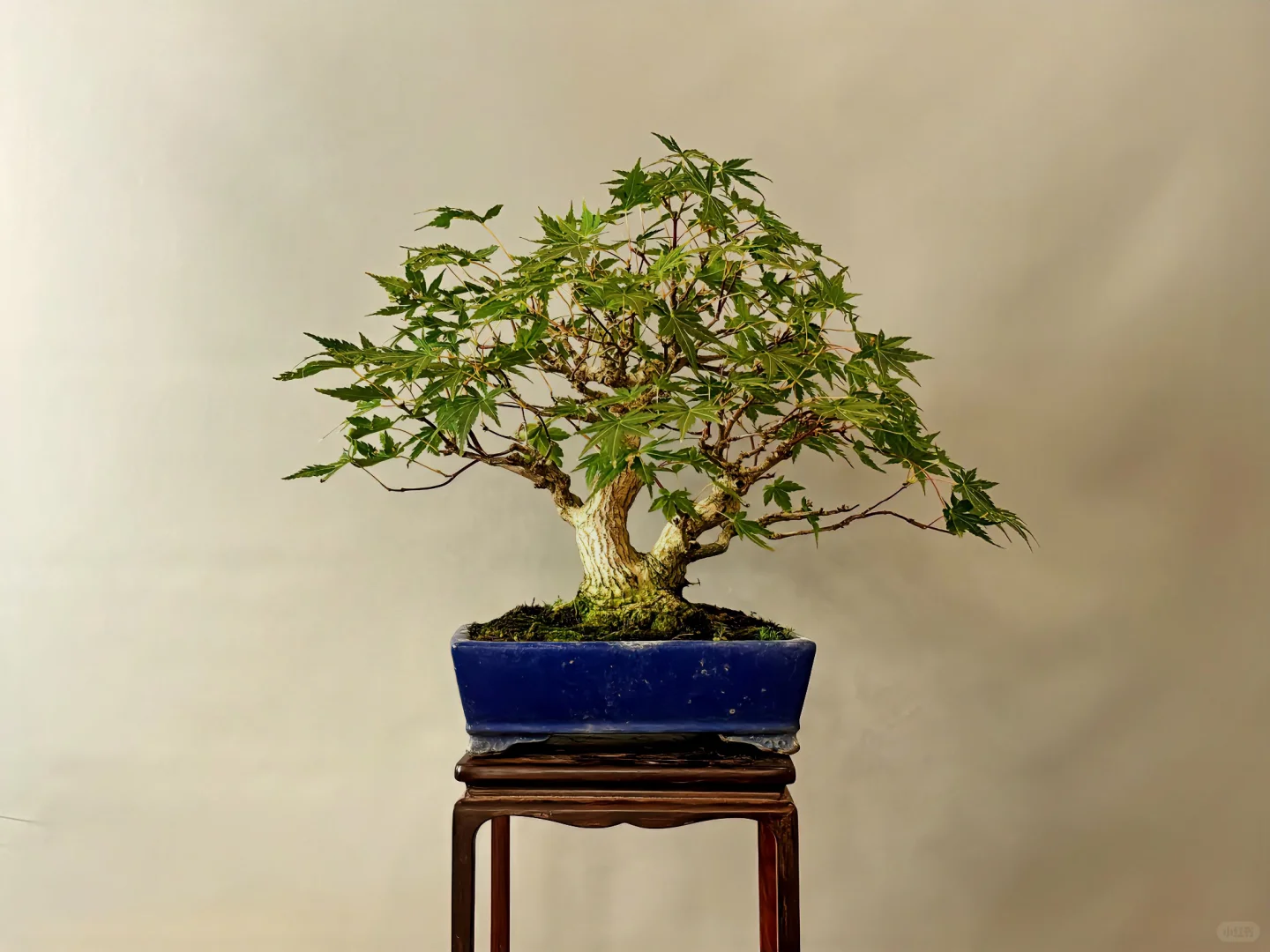 引入案头，亦置入心间。