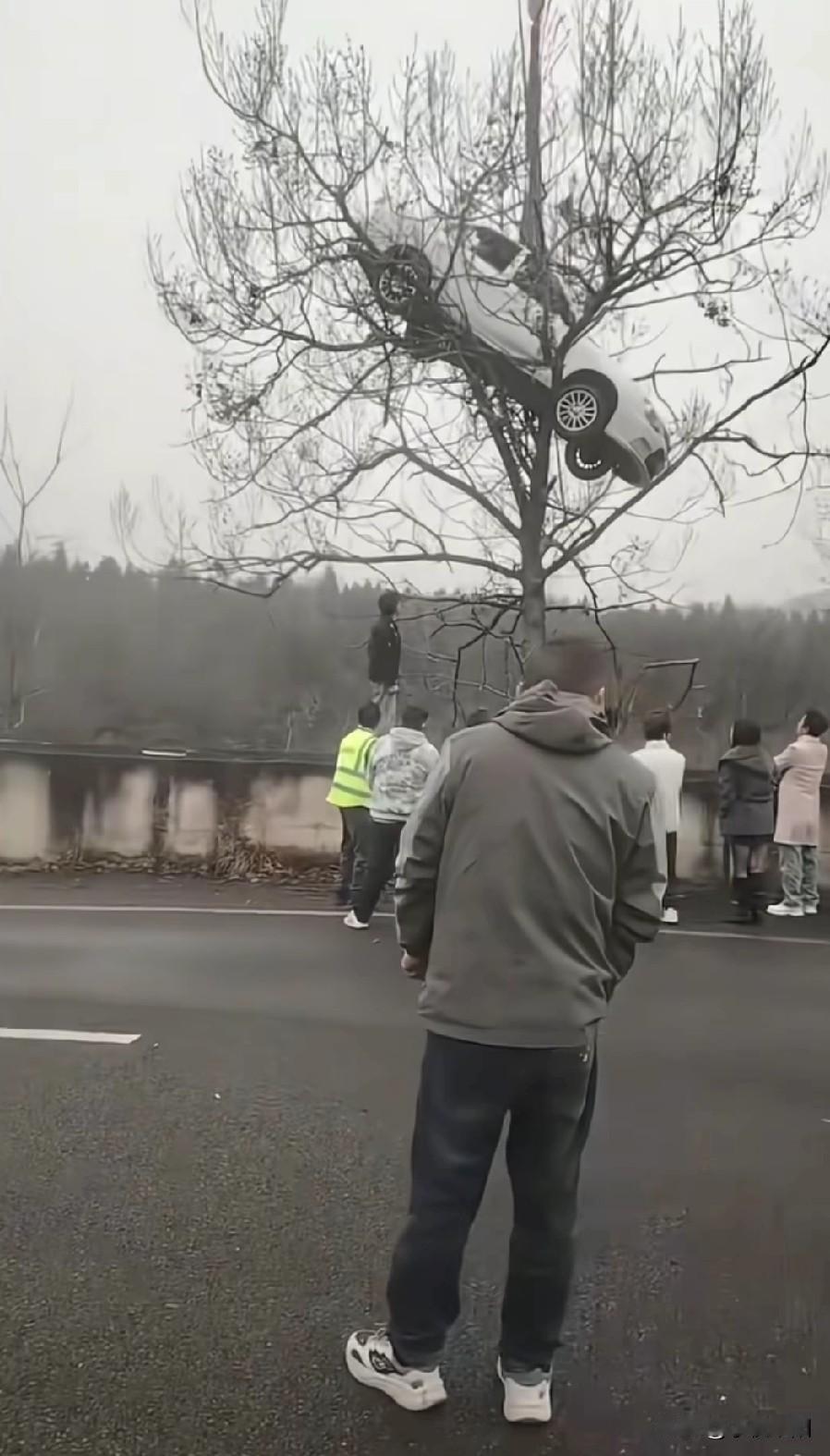 我就想知道这车是怎么上去的。