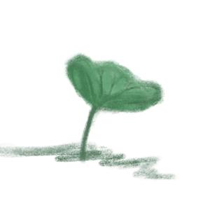 大橘大荔