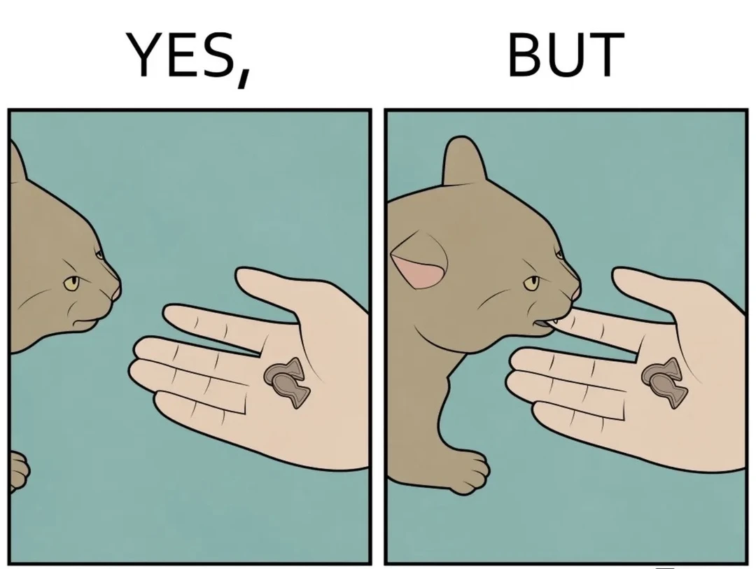 一些冷笑话梗图