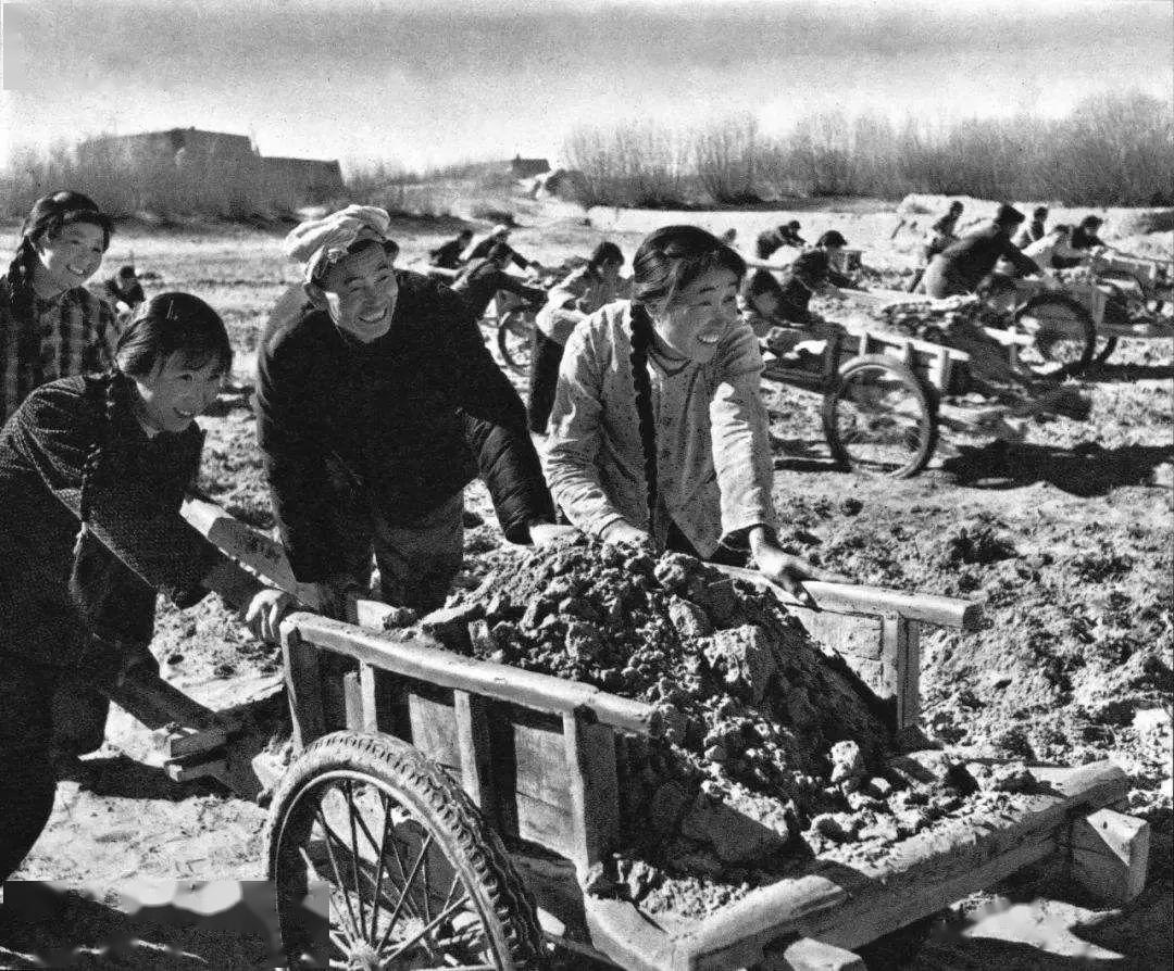 1984年，陕北汉子卖掉84只羊，承包3000亩荒沙，媳妇一把拽住他，跪在地上哭