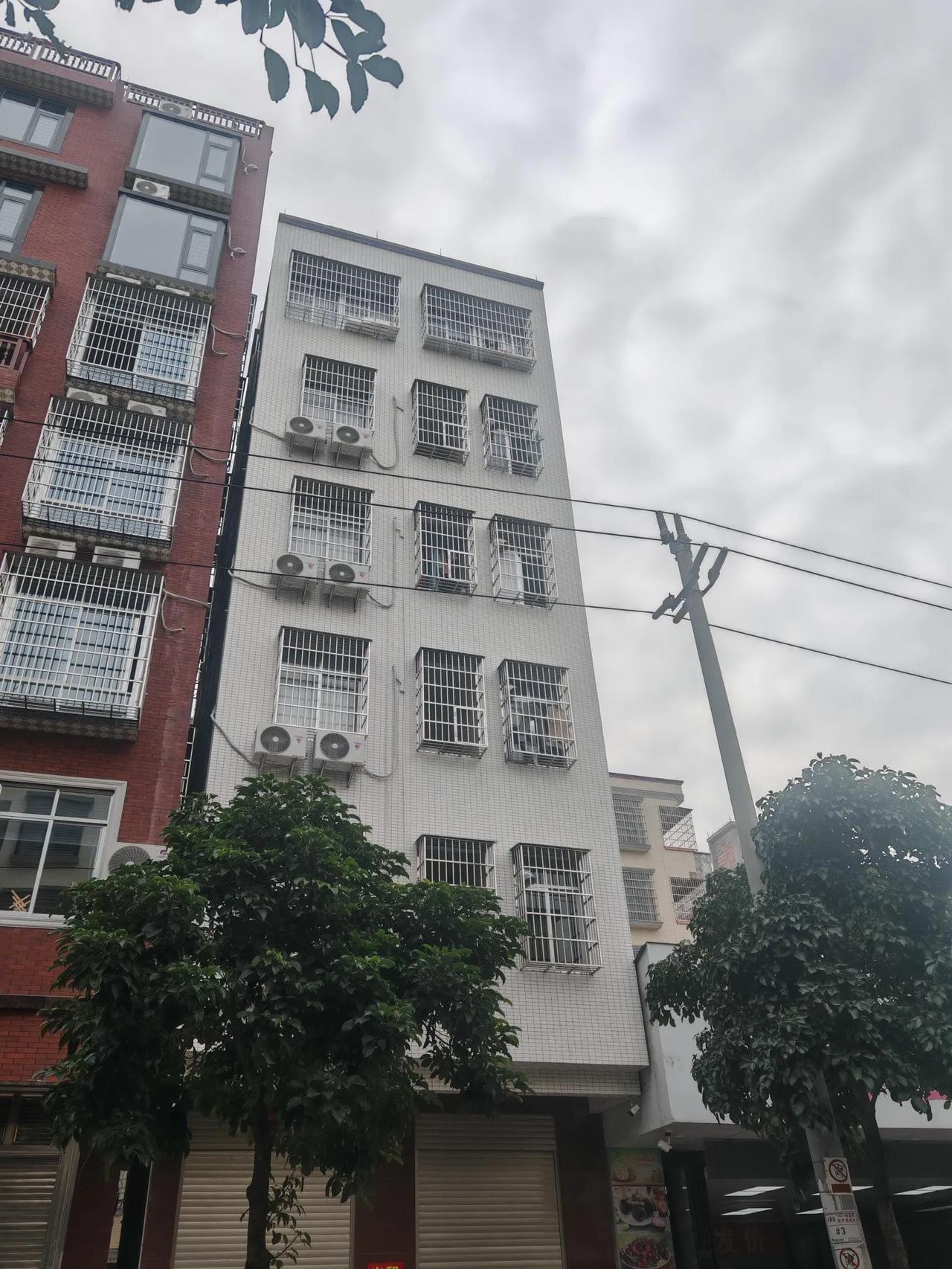 广东自建房最不能理解的地方
我发现很多广东自建房都喜欢在窗户加一个这种防盗网，上