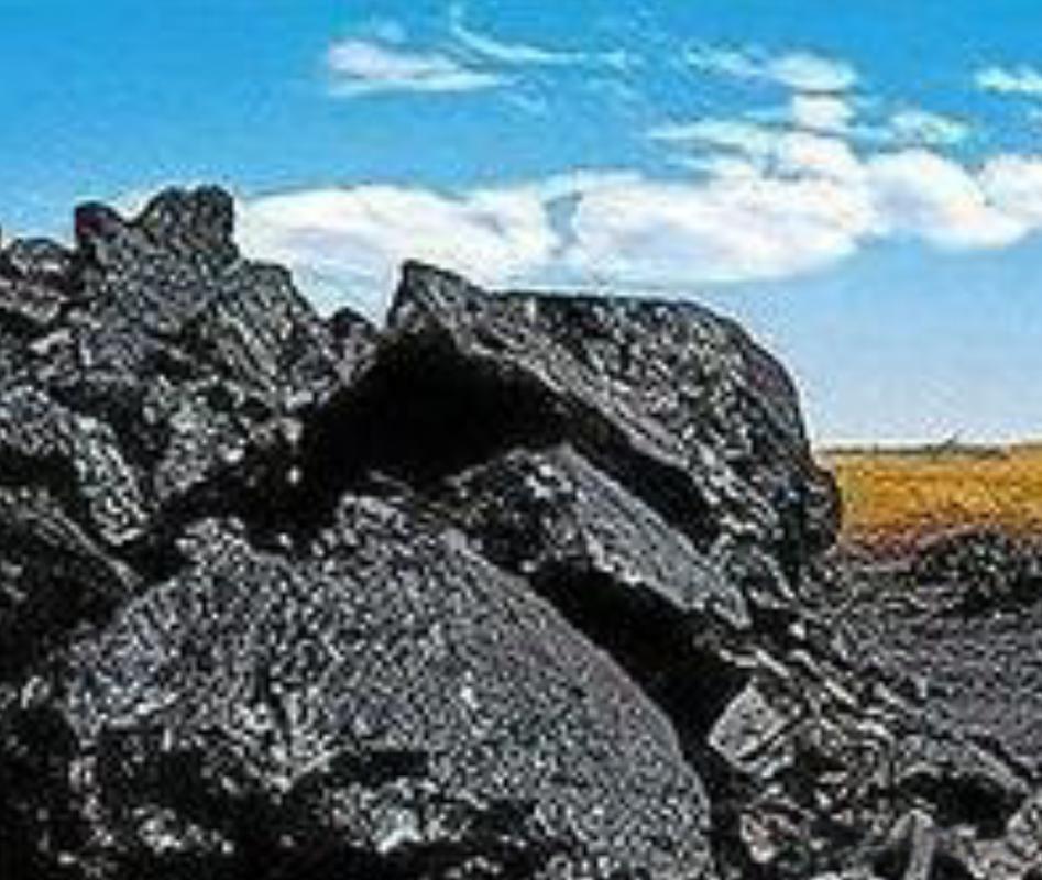 西汉《史记·货殖列传》轻描淡写一句：
“渭川千亩竹……太原、上党有铁、有石炭。”