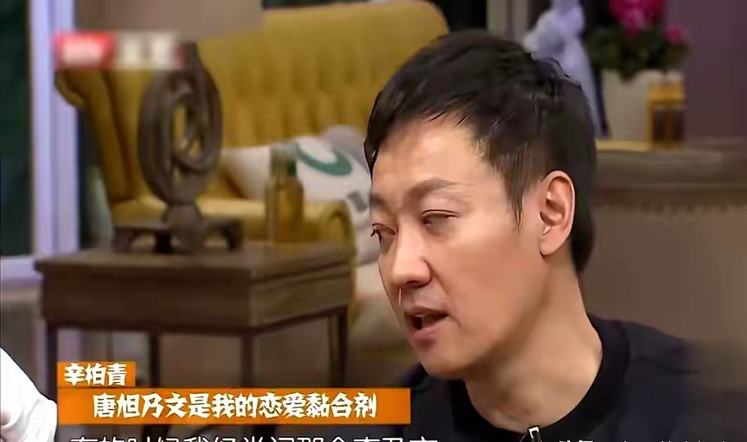 演员辛柏青说：“1994年，我们刚谈恋爱那会，有次吵架了，媛媛她好几天没理我，见