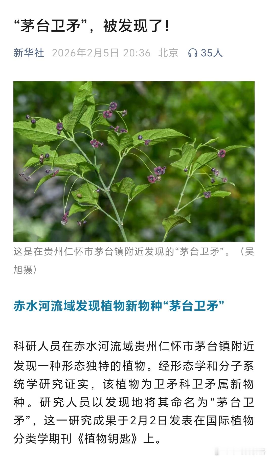 科研人员在赤水河流域贵州仁怀市茅台镇附近发现卫矛科卫矛属新物种，以发现地将其命名