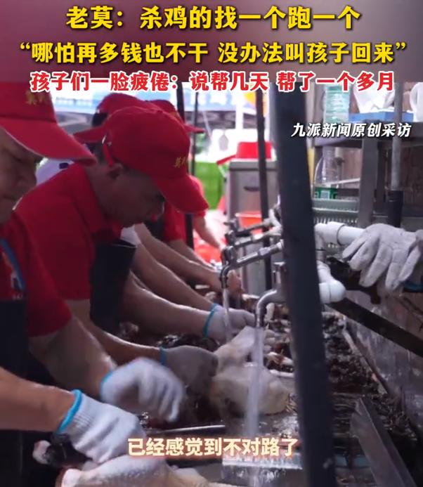 【莫氏鸡煲杀鸡师傅1天杀300只鸡，老莫：杀鸡的找一个跑一个】老莫称找杀鸡师傅找