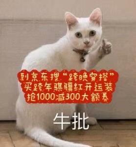 王星越跨晚穿搭骐骥红 追星女孩的应援穿搭就位！一身骐骥红去看演唱会，在人群里超显