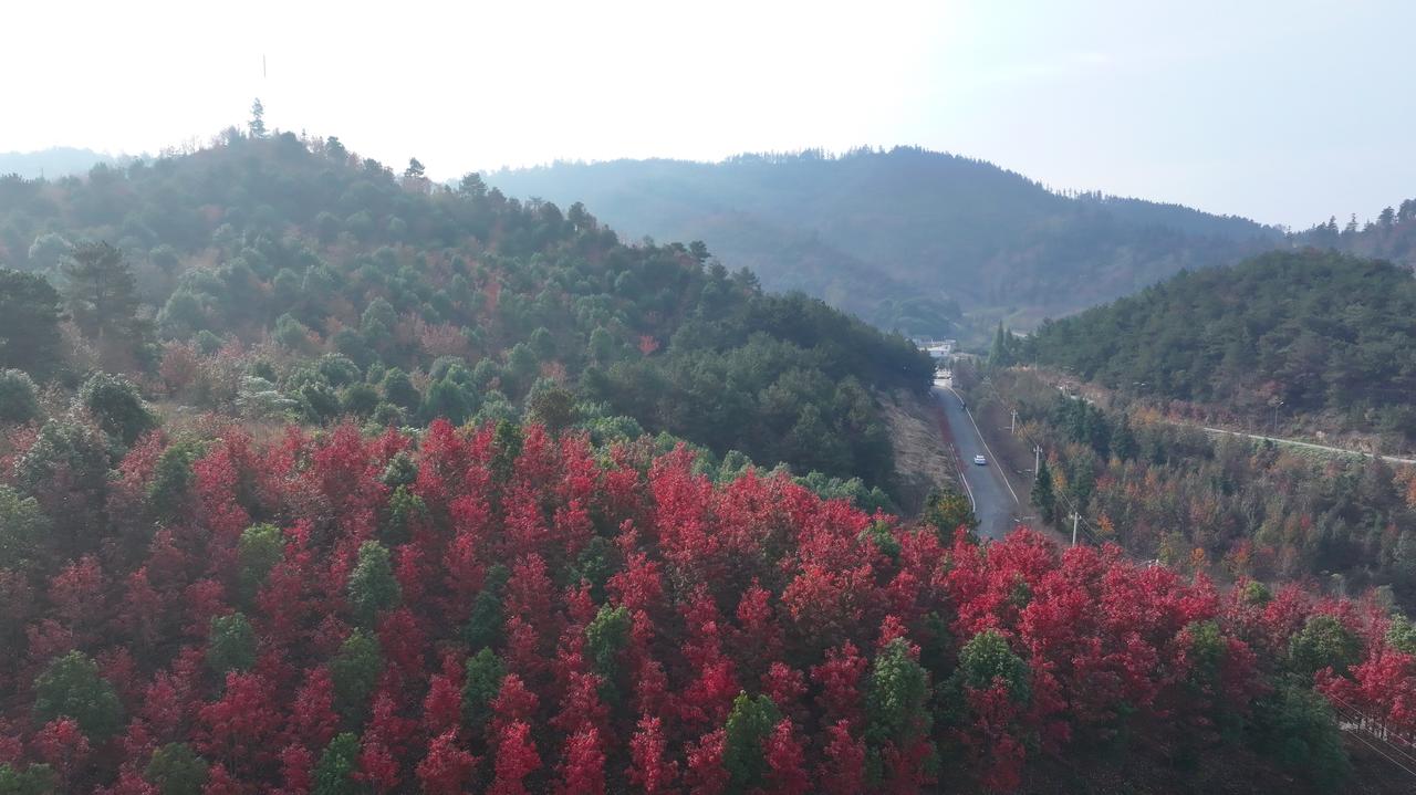 河南潢川  秋意渐浓，景致愈发旖旎，正是寻秋赏秋的好时节。那红得热烈、黄得明艳、