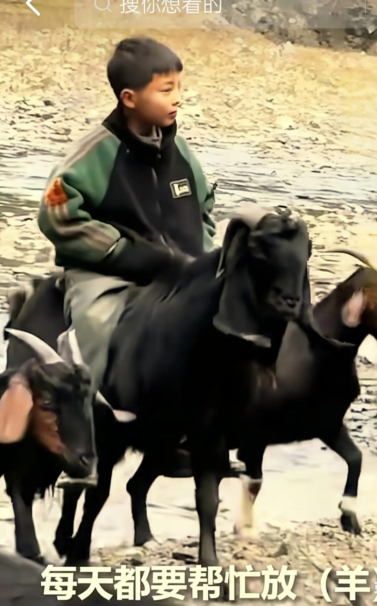 贵州9岁少年放羊意外走红，羊背上的从容为何看哭无数人？
 贵州毕节纳雍县的冬日，