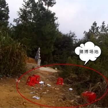 你能想象吗？湖北有多名男女，放着好好的地方不去，竟躲到坟场里赌博！这操作，简直让