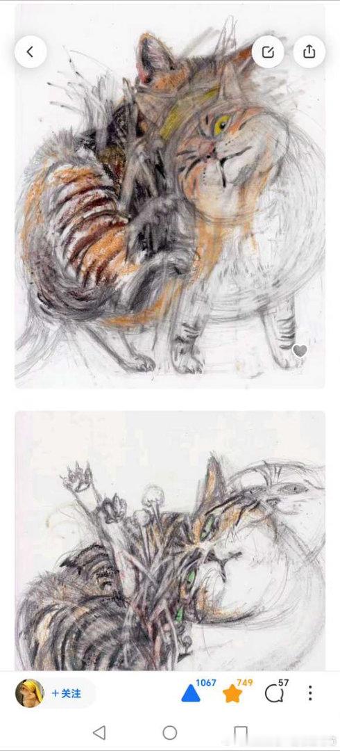 49526【丑猫】艺术家画的丑猫 