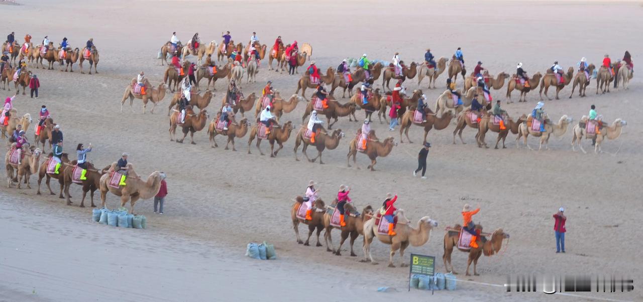《鹧鸪天·沙海驼铃》
（原创首发）陋室听秋/文
 
沙海扬波涌似峰，连绵起伏韵无