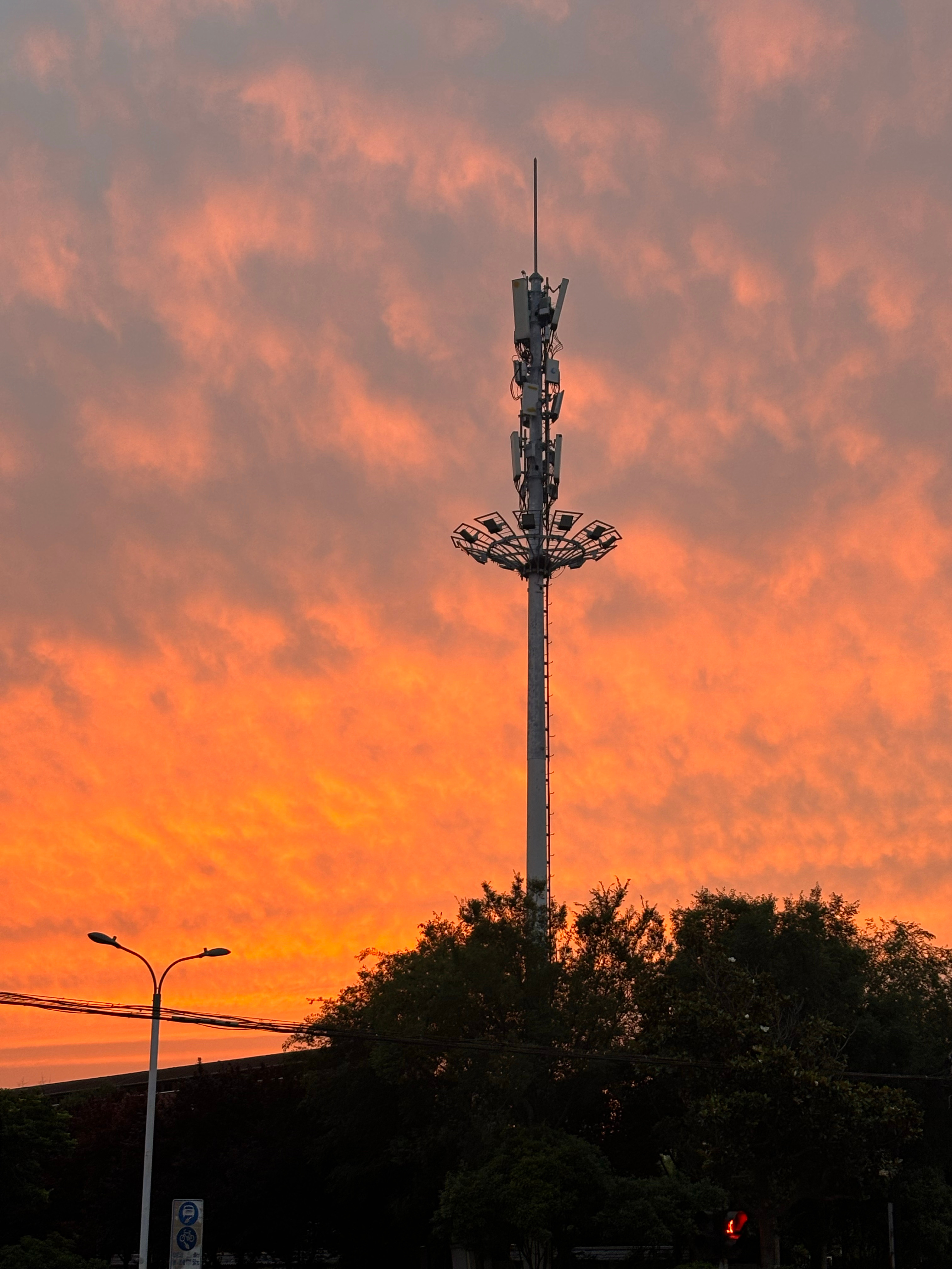 今天的夕阳真好看🌇 